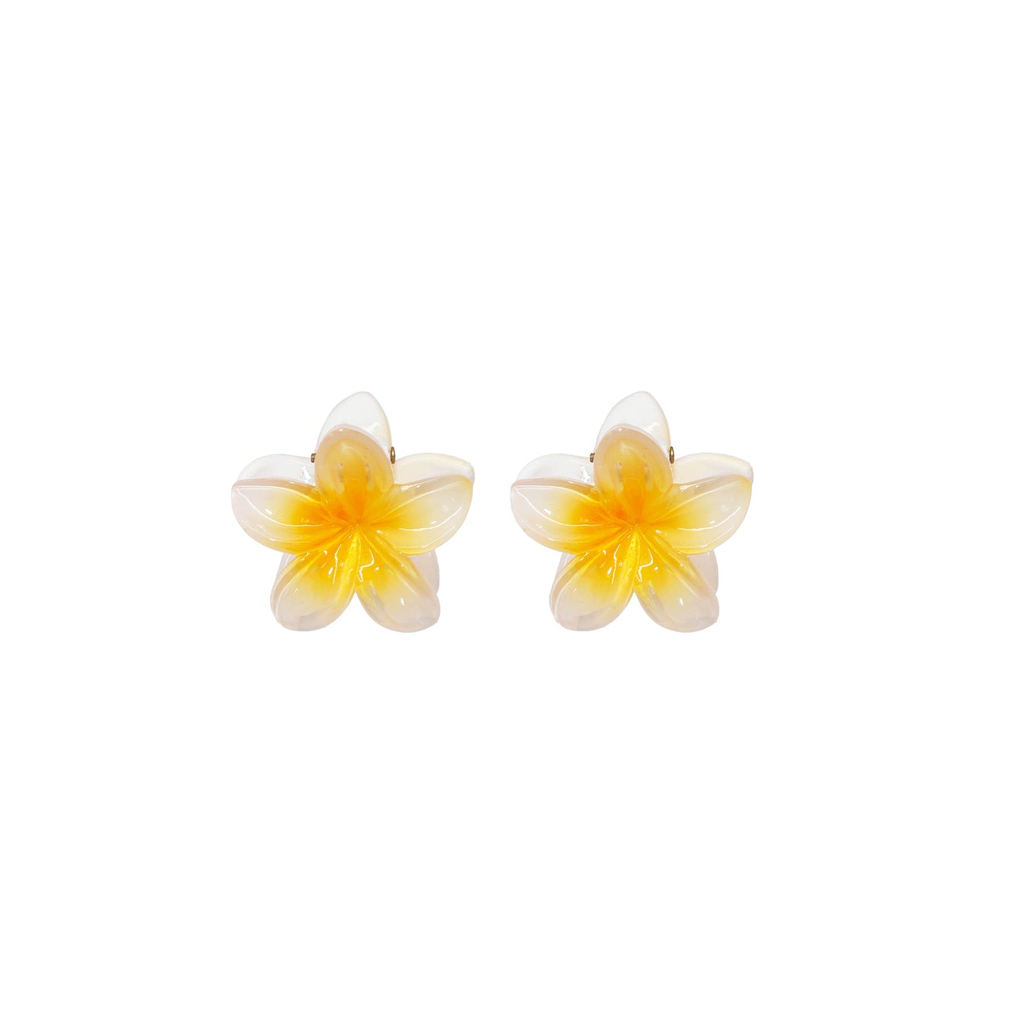 Clip Set in Coconut