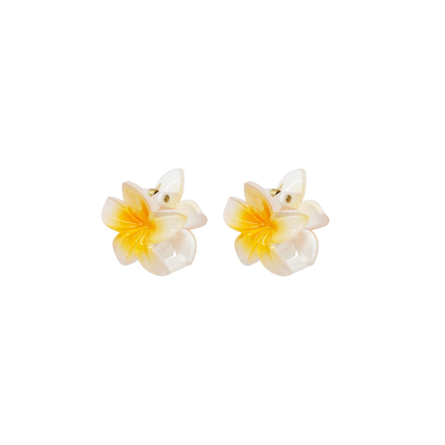 Clip Set in Coconut