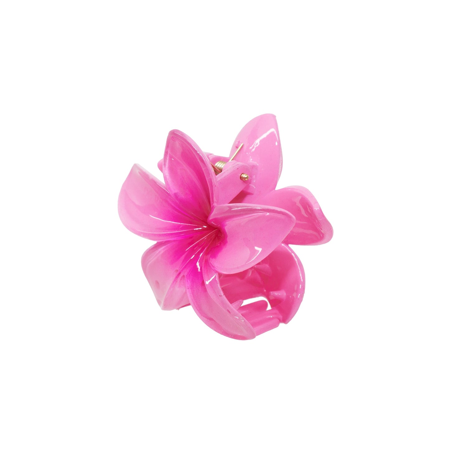 Dragon Fruit Small Grab Clamp