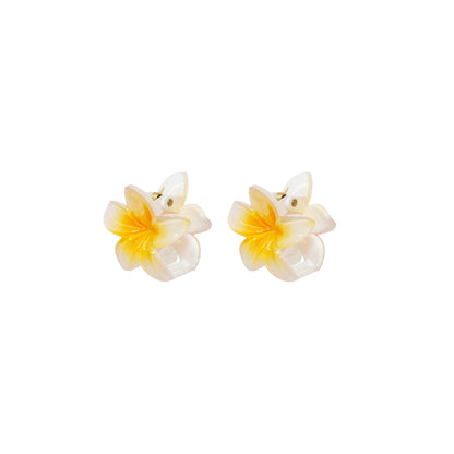 Clip Set in Coconut