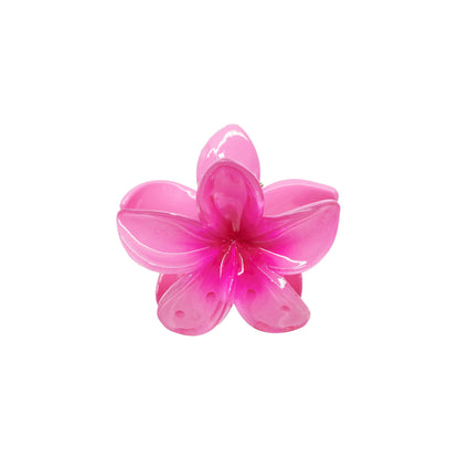 Dragon Fruit Small Grab Clamp